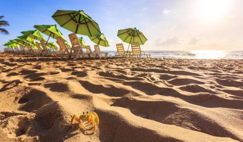 a group of chairs and umbrellas on a beach at Hotel Solar Porto de Galinhas in Porto De Galinhas