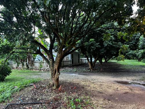 Κήπος έξω από το Maria's Farm House