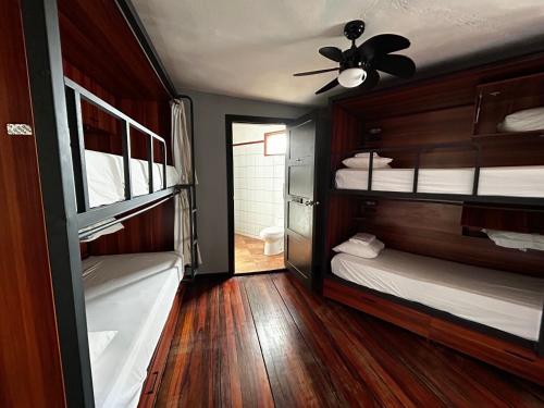Katil atau katil-katil dalam bilik di Viajero San José Hostel