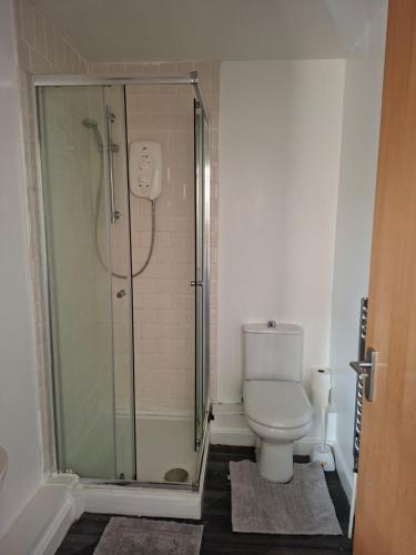 a bathroom with a shower and a toilet at Room with bathroom in Middlesbrough