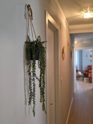 Apart Martínez Rosalía