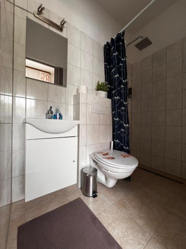 a bathroom with a sink and a toilet and a shower at Hotel Hirsch Fluorn Schwarzwald in Fluorn