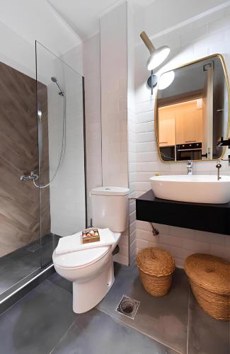 a bathroom with a toilet and a sink and a mirror at Melodia Lefkada apartment 1 in Nikiana