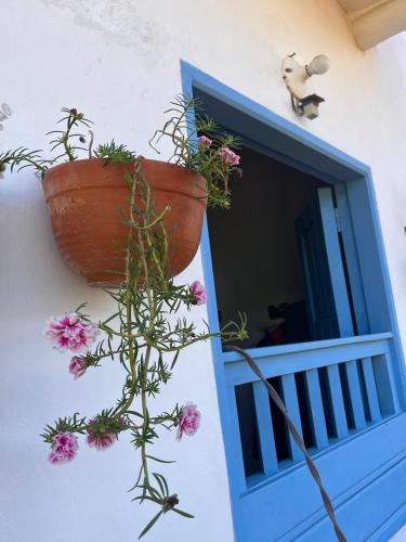 Φωτογραφία από το άλμπουμ του Casa Quintanilla Barichara σε Barichara