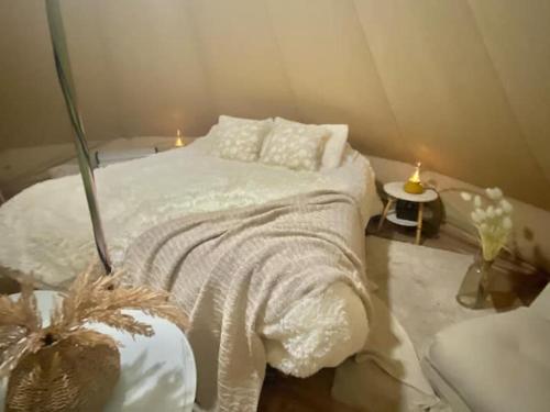 Ένα ή περισσότερα κρεβάτια σε δωμάτιο στο Glamping en Conguillío con pozones y río