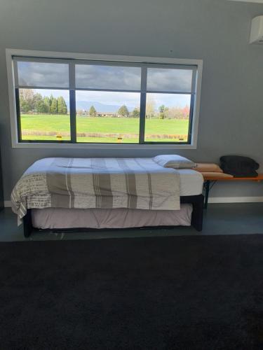 a bed in a room with a large window at The Red Shed in Matamata