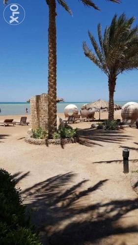 الغردقه قرية بالما ريزورت