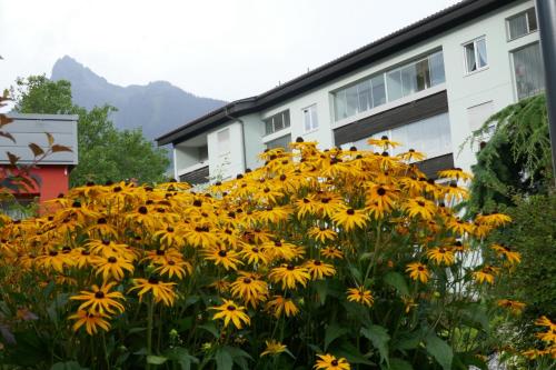 a bunch of yellow flowers in front of a building at Apartment Sonnenlicht in Schruns-Tschagguns