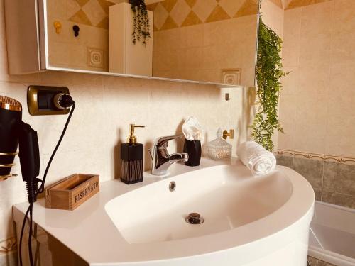 a white sink in a bathroom with a mirror at Villa Alloggio Cupido comfort-Relax in Pianezza