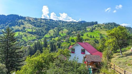 a house with a red roof on a mountain at Садиба "Ековид" in Krivorovnya