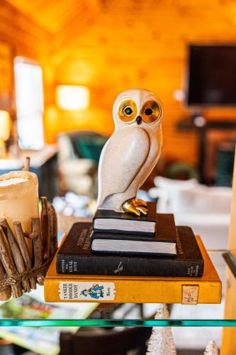 a statue of an owl sitting on top of books at Log Home w Mountain Views Near Windham & Hunter Ski Resorts in Maplecrest