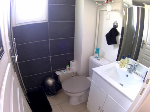 a bathroom with a toilet and a sink at Petit studio independant très proche 24h et parc des expositions in Le Mans