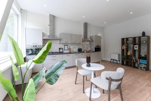 Una cocina o cocineta en Student-Friendly Stay close to University Tilburg