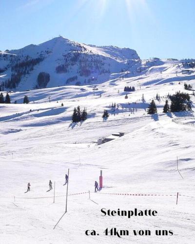 a group of people skiing down a snow covered slope at falternhof loft - geschichte trifft auf design in Höslwang