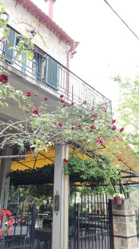 a bunch of roses climbing up the side of a building at Skardamoula's Studios n Apartments in Kardamili