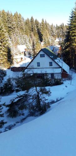 a large white house in the snow with trees at Star Panzió in Miercurea-Ciuc