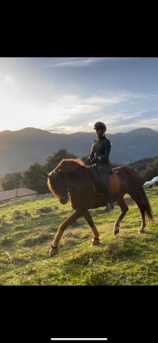 a person riding a horse in a field at Roca negra Montseny in Fogars de Montclus