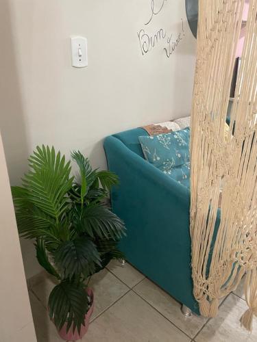 a blue couch and some plants in a room at Kitnet Adorável na sedede Aracruz ES 1KM do centro individual wifi cozinha equipada in Aracruz