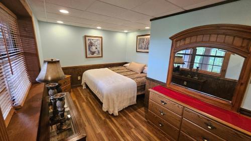 a bedroom with a bed and a large mirror at Mountain View 2BR Log Cabin Apt wPrivate BBQ Deck in Sylva