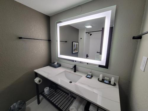 a bathroom with a sink and a large mirror at La Quinta Inn by Wyndham Orlando International Drive North in Orlando