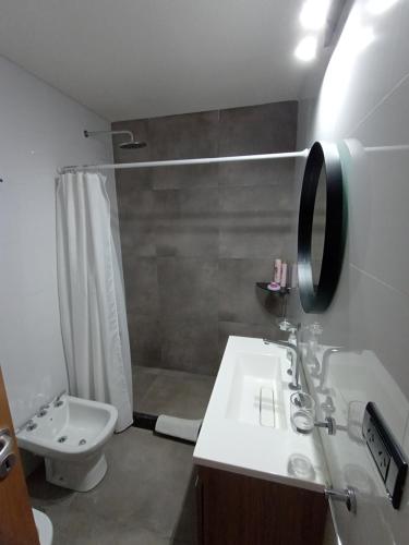 ein Badezimmer mit Waschbecken, Dusche und Toilette in der Unterkunft DeptoBorgesJunin in Junín