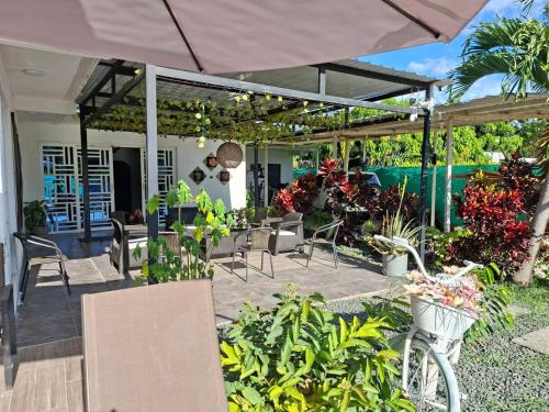 a patio with chairs and plants and an umbrella at Akoya Meraki Casa Hotel in El Silencio