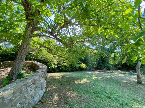 a stone wall and a tree in a yard at Berenice in Chianti - Authentic Tuscan Country House in Bagno a Ripoli