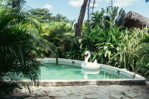 Bungalows India, El Valle, Samana