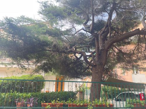 a tree behind a fence next to a tree at Ars in Villa in Livorno