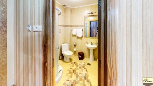 a bathroom with a toilet and a sink at Pensiunea Bianca in Botoşani