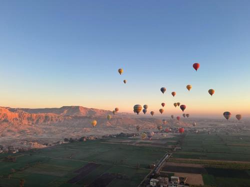 a bunch of hot air balloons flying in the sky at Bab Al Shams Palace in Luxor