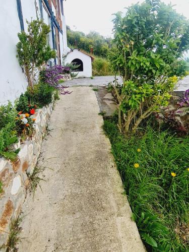a path outside of a house with flowers at Chalet Montaña Tenjo Mirador in Tenjo