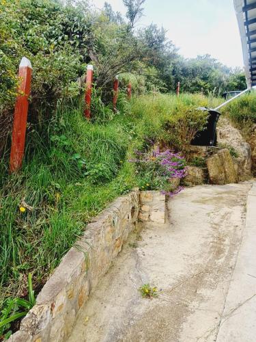 a garden with a stone wall and some grass and flowers at Chalet Montaña Tenjo Mirador in Tenjo