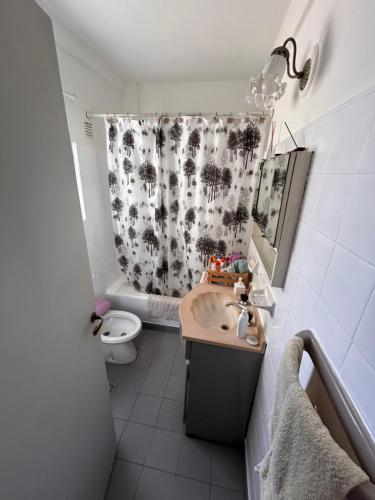 ein Badezimmer mit Waschbecken, Toilette und Duschvorhang in der Unterkunft Cozy & Bright 2amb Belgrano Coghlan in Buenos Aires