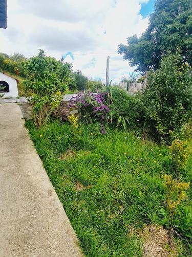 a field of grass and flowers next to a road at Chalet Montaña Tenjo Mirador in Tenjo
