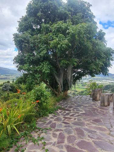 a tree and a stone path with a tree at Chalet Montaña Tenjo Mirador in Tenjo