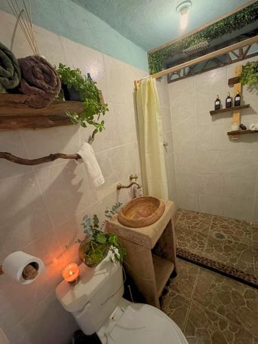 a bathroom with a toilet and a shower at Cabaña Flor de Agave in Tres Marías