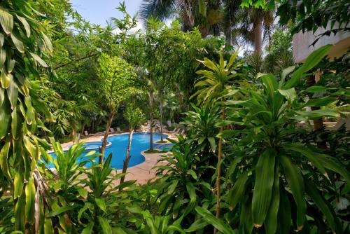 a pool in the middle of a jungle with trees at Palmar del Sol by Riviera Maya Suites in Playa del Carmen