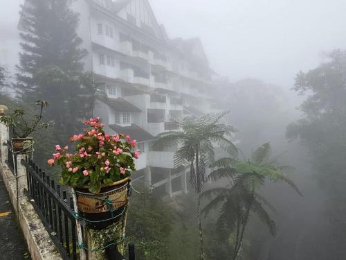 a apartment building in the fog with flowers on a fence at A3-6-1Silverpark LuxMountsin view Lifted unit in Bukit Fraser