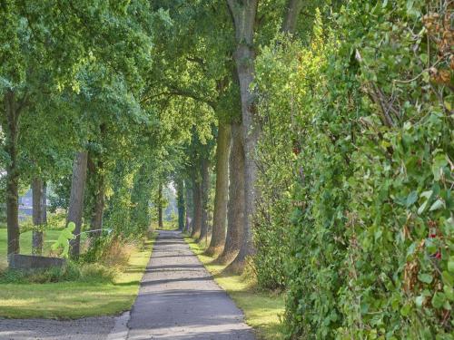 a tree lined path with trees on both sides at t Achterhoes in Diepenheim