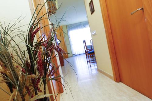 Duplex Planetcostadorada