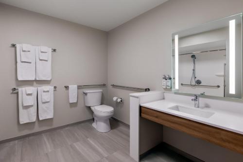 a bathroom with a sink and a toilet and a mirror at Holiday Inn Express & Suites Pittsfield-Lenox-Berkshires by IHG in Pittsfield