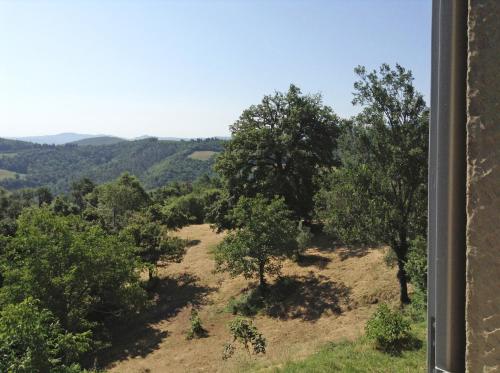 a view of a field of trees from a window at La Doccia in Anghiari