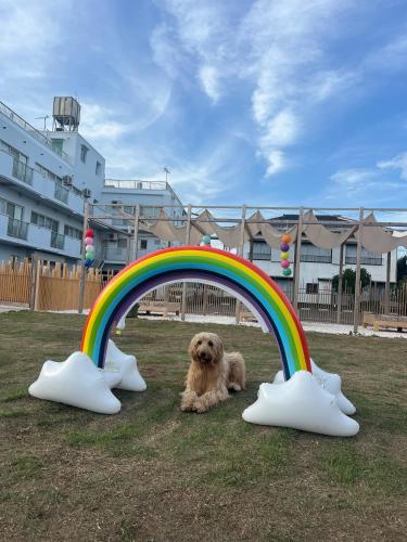 a dog laying under a rainbow in the grass at DokiDoggie油壺globe in Miura