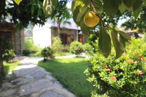 Κήπος έξω από το Trang An River View Homestay