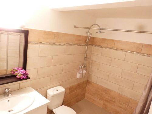 a bathroom with a toilet and a sink and a mirror at Appartement 2 pièces proche centre Commercial Galléria in Le Lamentin