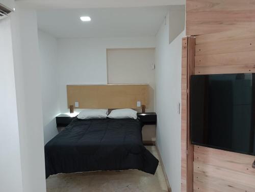 une chambre avec un lit et une télévision à écran plat dans l'établissement Loft, à La Rioja