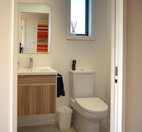 un baño con inodoro y lavabo en No3onfraser, en Twizel