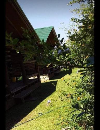 a tree branch in front of a house at El Durazno Apart Hotel y Cabañas in San Pedro