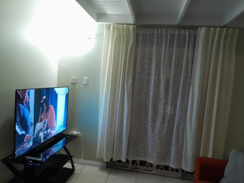 TV a/nebo společenská místnost v ubytování Musgrave Loft